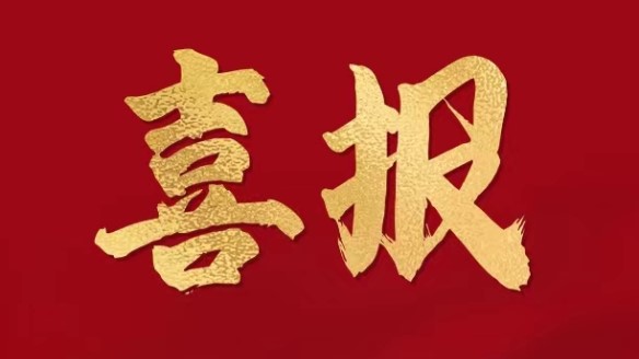 Tập đoàn vinh dự đứng thứ 269 trong Top 500 doanh nghiệp tư nhân Trung Quốc năm 2024.